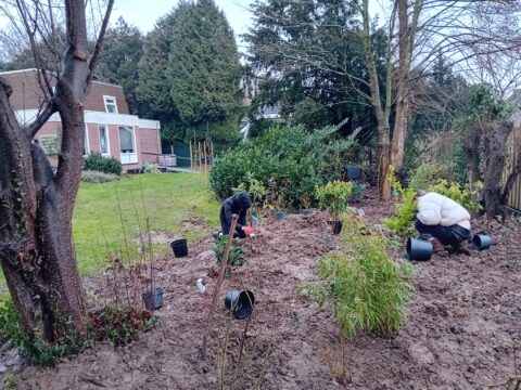 Twee personen planten struiken in een modderige tuin bij een huis.