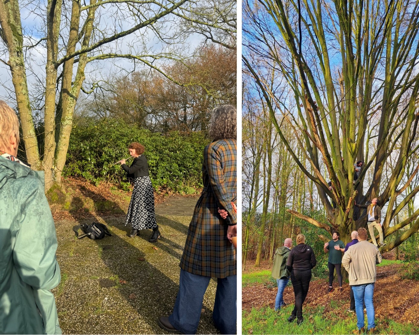Mensen kijken naar een muzikant en klimmen in een boom