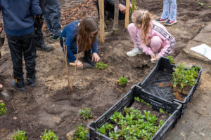 Kinderen helpen met planten.