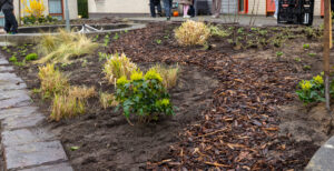 Terrein waar bomen en planten geplant zijn.