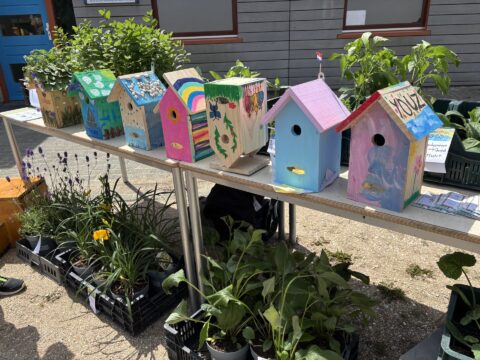 Gekleurde vogelhuisjes en planten op een tafel buiten, omgeven door groen.
