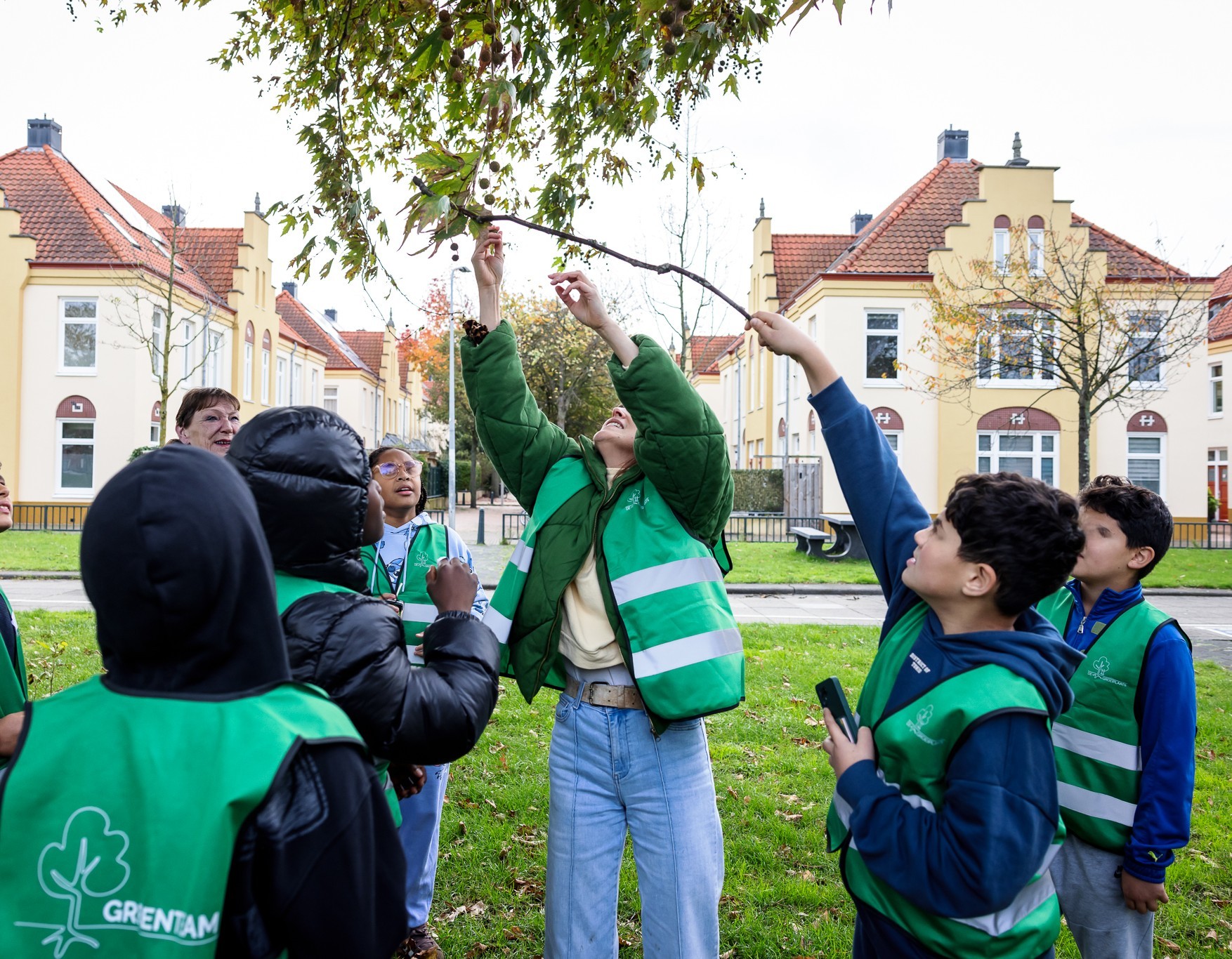 Groep kinderen in groene hesjes kijkt naar boomtakken in een woonwijk.