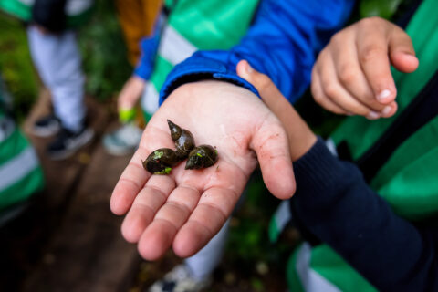 Hand met drie slakken; kinderen in regenjassen bekijken ze van dichtbij.