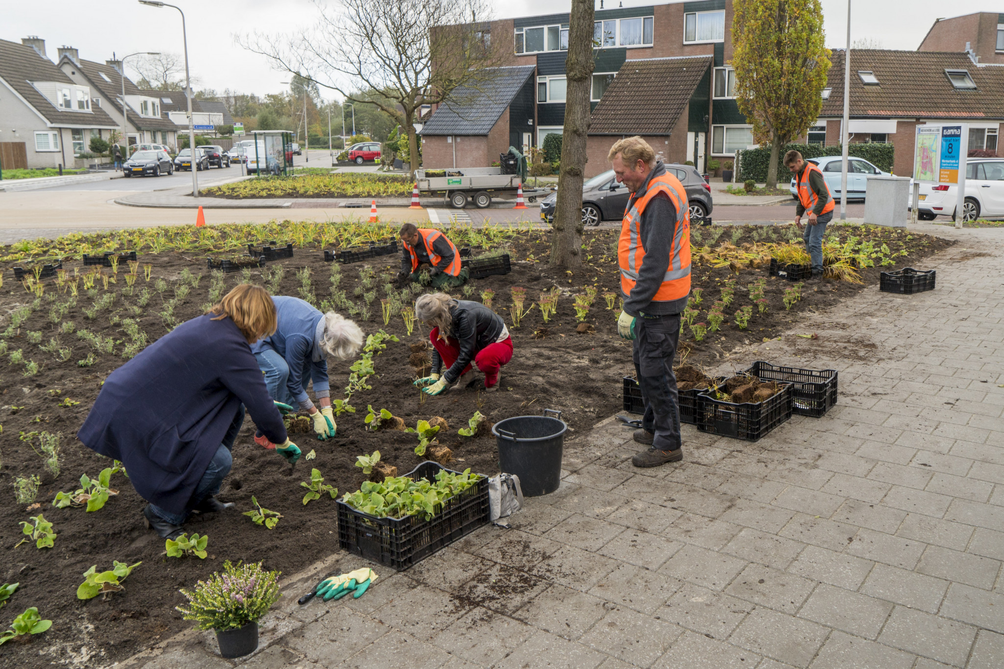 Zuidplas bijvriendelijkste gemeente 2021