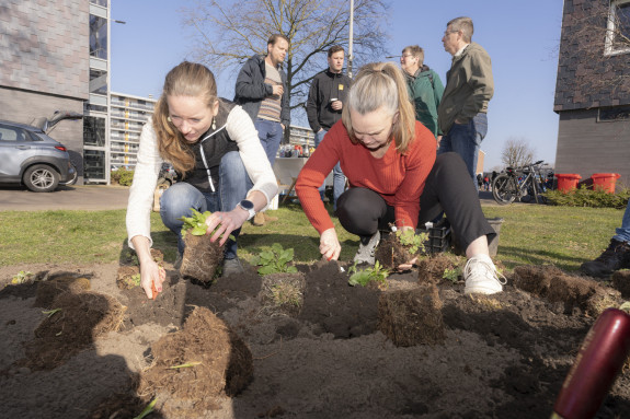 Bijvriendelijkste Gemeente verkiezing