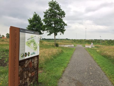 Groningse Kranenburgpark: een biodiverse hotspot