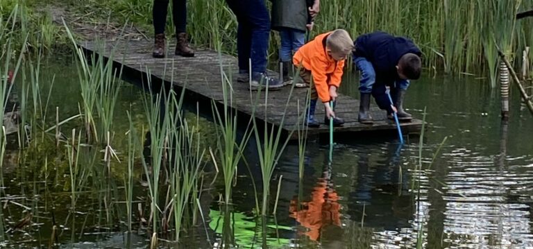 Wat bieden we nog meer, Spitsmuizren