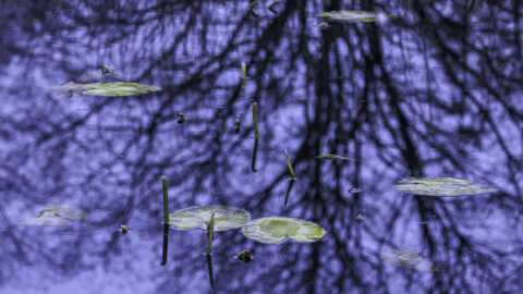 Over ons, contact gegevens