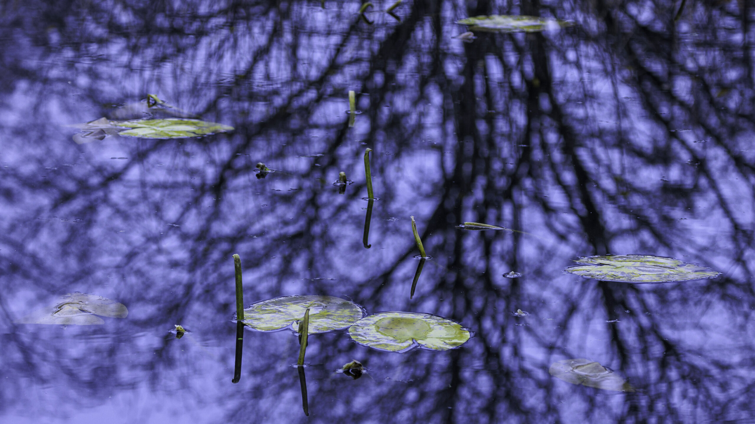 Over ons, contact gegevens