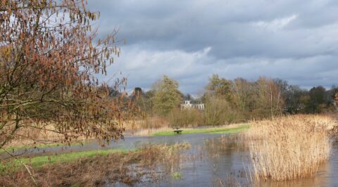 2025-23-3 natuurwandeling Markdal