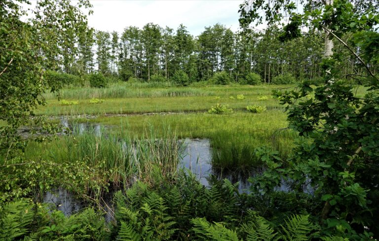 2025-06-22 Publiekswandeling Labbegat