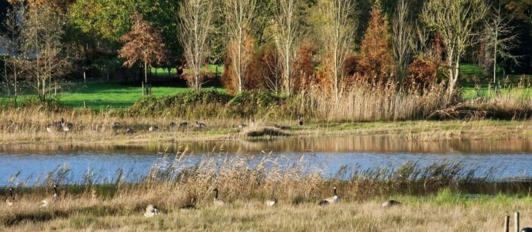 Blik op natuur najaar 2025