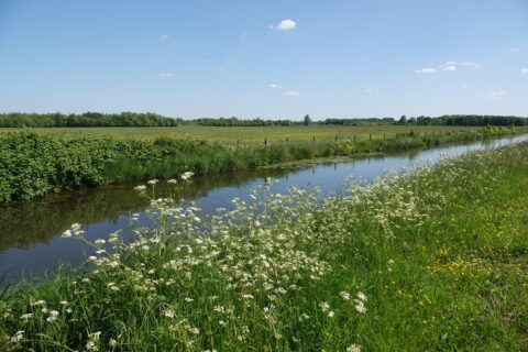 2025-07-20 Natuurwandeling Haagse beemden