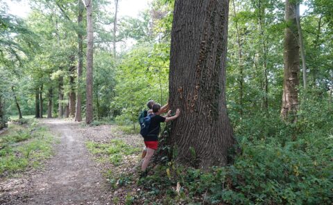 2025-08-24 Zintuigenwandeling Landgoed Wolfslaar