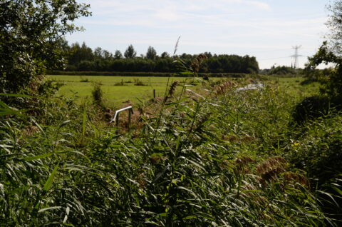 2025-09-21 Natuurwandeling Vuchtpolder