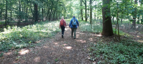Twee mensen wandelen op een bospad, omringd door groene bomen en struiken.