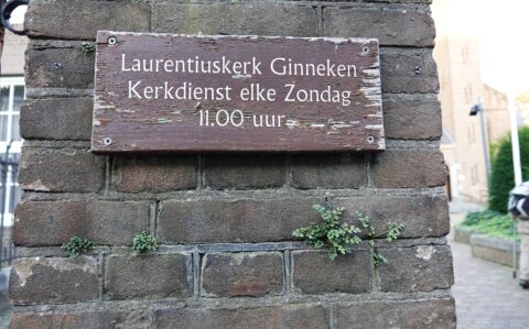 2025-23-11 Stadsplantenwandeling Ginneken