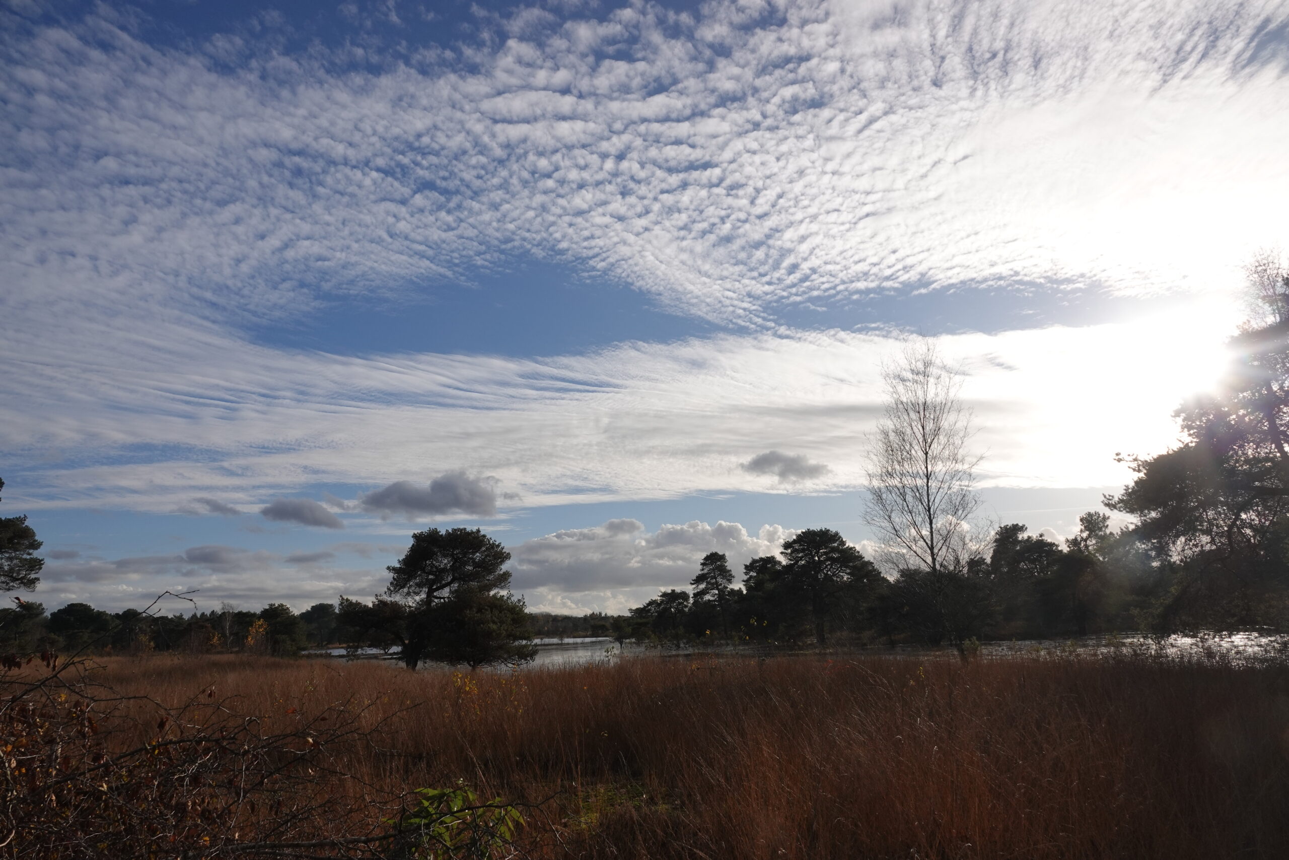 Open landschap met gras, bomen, een meer en een bewolkte lucht onder een stralende zon.