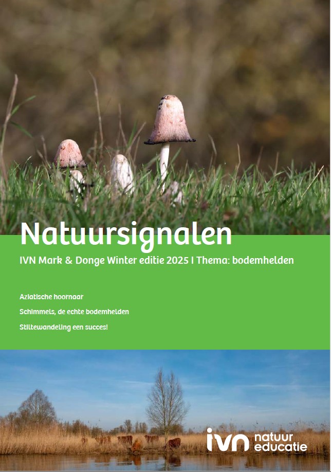 Paddenstoelen in gras, tekst: "Natuursignalen" en wintereditie 2025 IVN Mark & Donge.