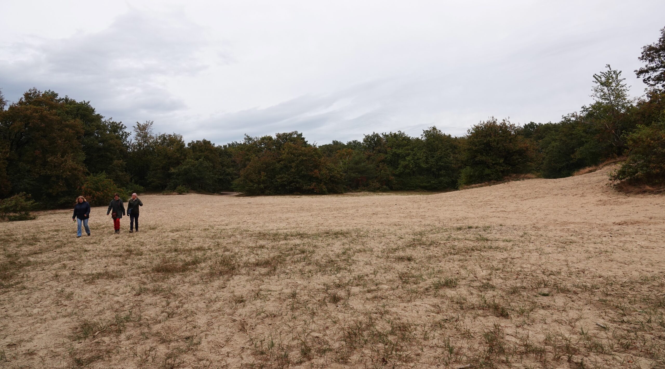 Drie mensen wandelen op een zanderig pad omringd door bos.