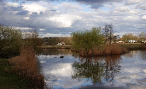Kalme vijver met weerspiegeling van wolken; omringd door bomen en gras, huisje op de achtergrond.