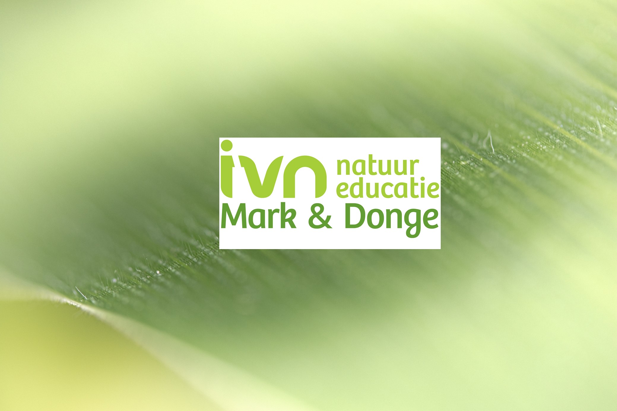 Logo van IVN Mark & Donge natuur-educatie op een wazige groene achtergrond.