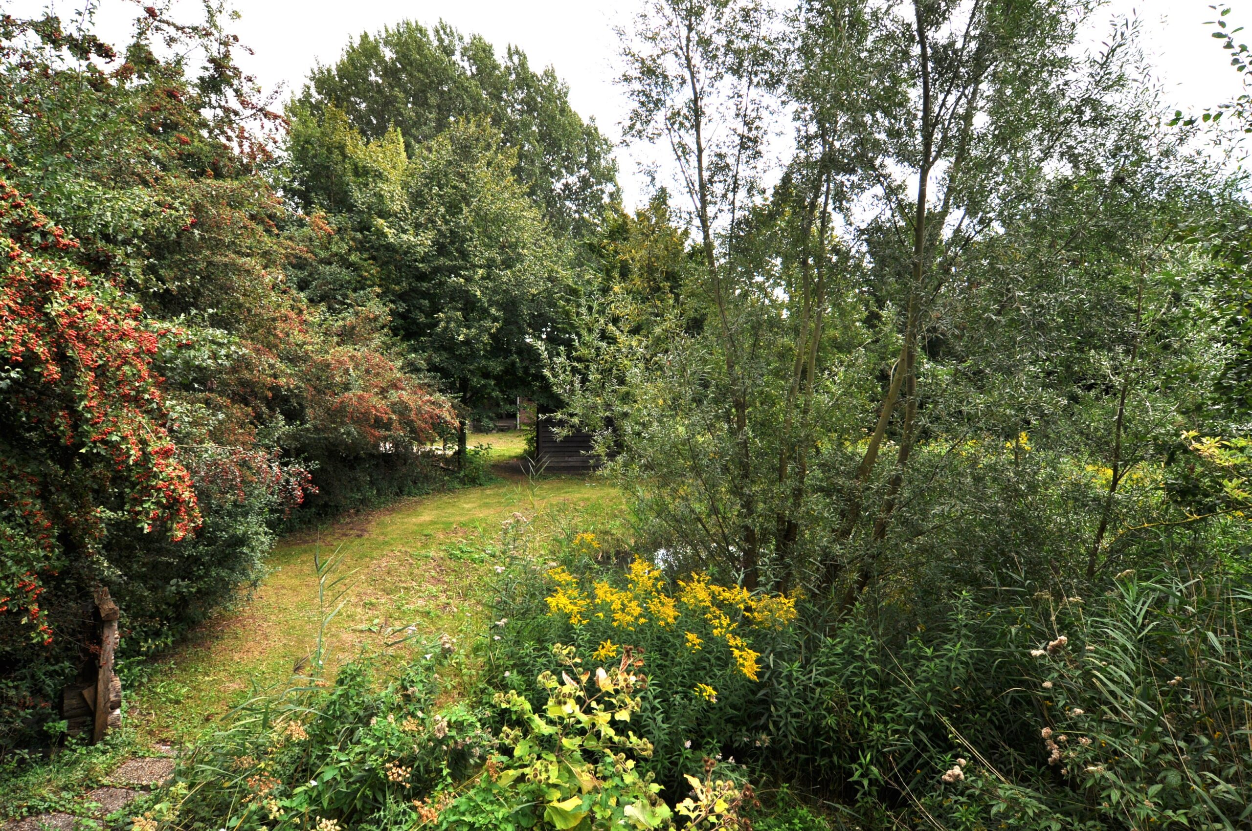 Een groen landschap met bomen, struiken en geelbloeiende planten langs een grasweg.
