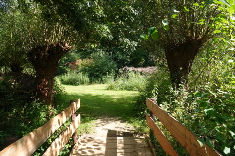 Houten bruggetje leidt naar groen grasveld, omgeven door bomen en struiken.