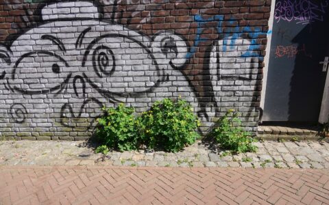 Graffiti van een gezicht op een bakstenen muur, met gele bloemen op straat ervoor.