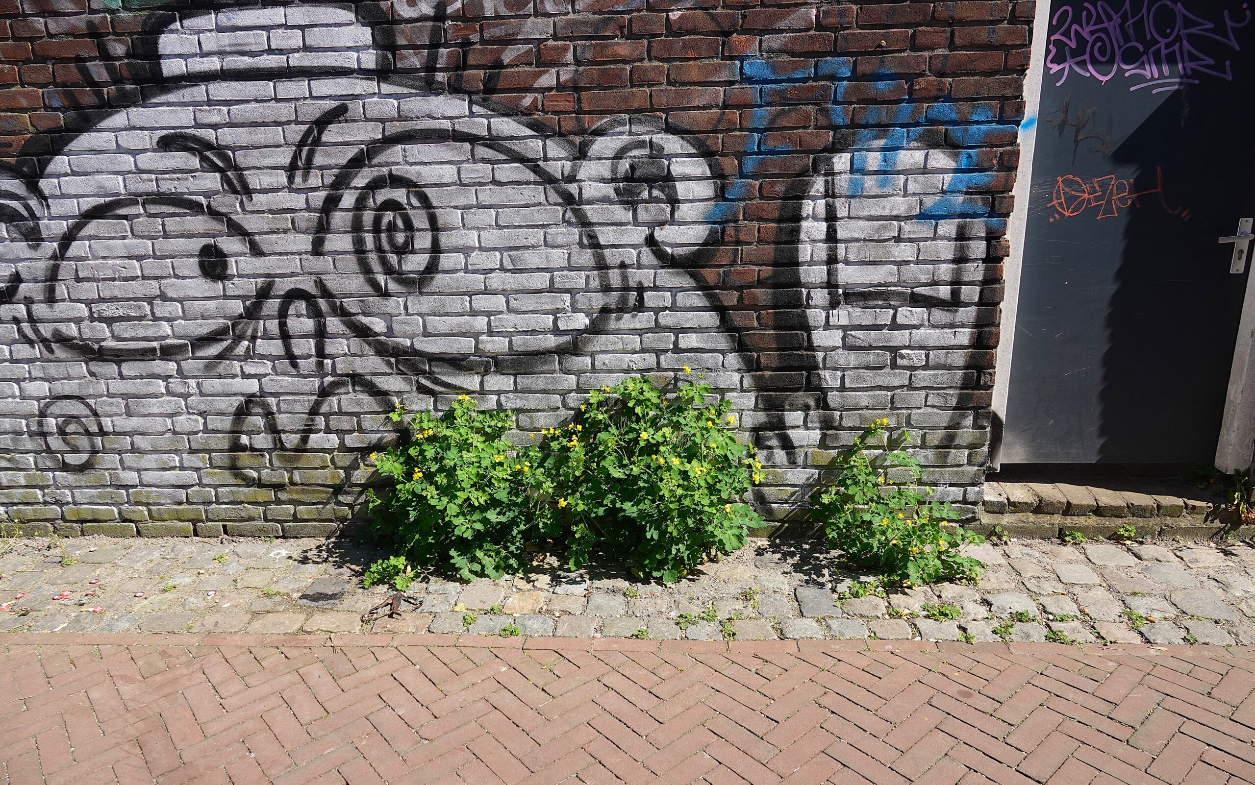 Graffiti van een gezicht op een bakstenen muur, met gele bloemen op straat ervoor.