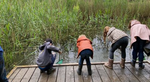 Vier kinderen kijken naar water vanaf een houten steiger, omgeven door riet en waterplanten.