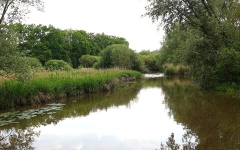 Een rustige rivier met groene oevers en bomen weerspiegeld in het water.