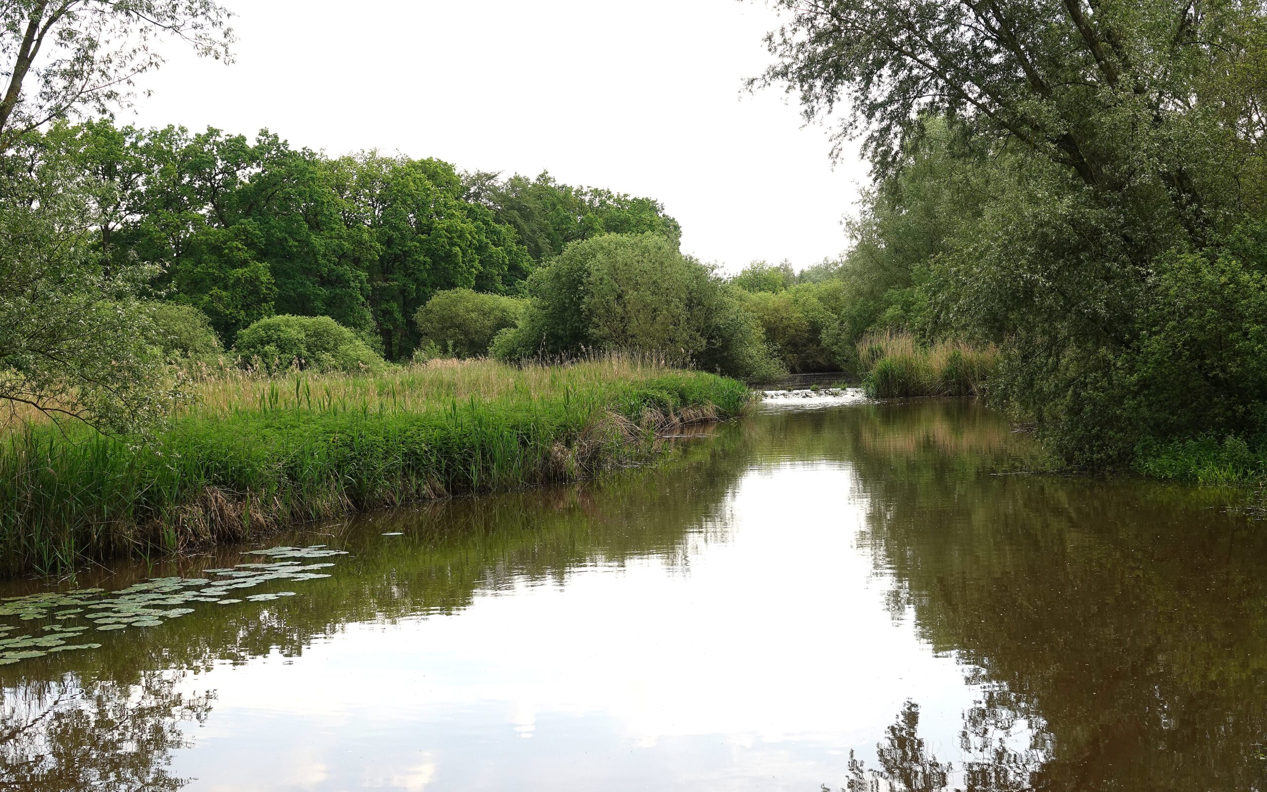 Een rustige rivier met groene oevers en bomen weerspiegeld in het water.
