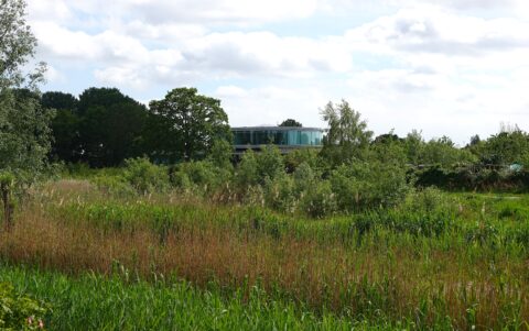 Moderne glazen gebouw omgeven door groen, hoge grassen en bomen onder een bewolkte hemel.