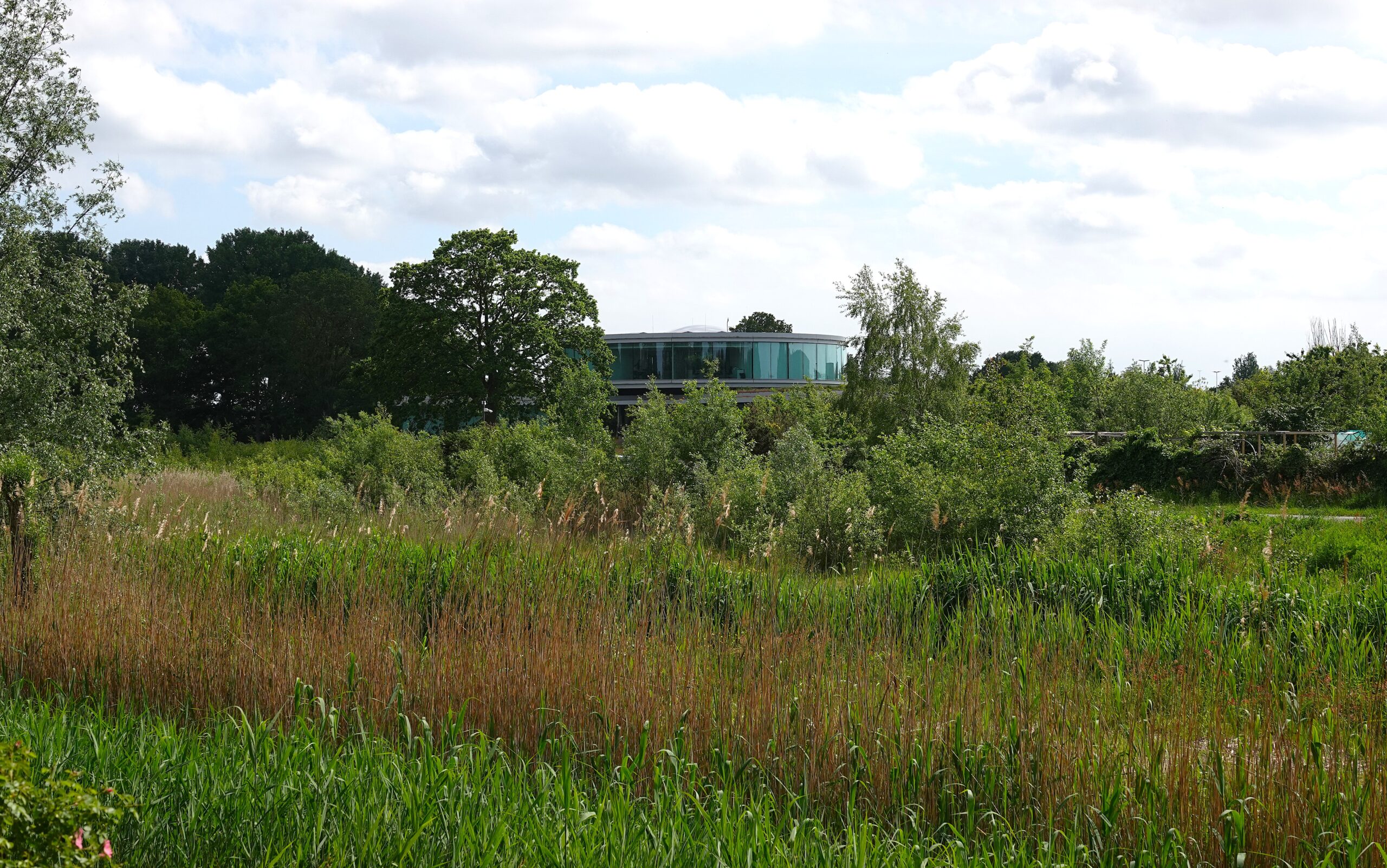 Moderne glazen gebouw omgeven door groen, hoge grassen en bomen onder een bewolkte hemel.