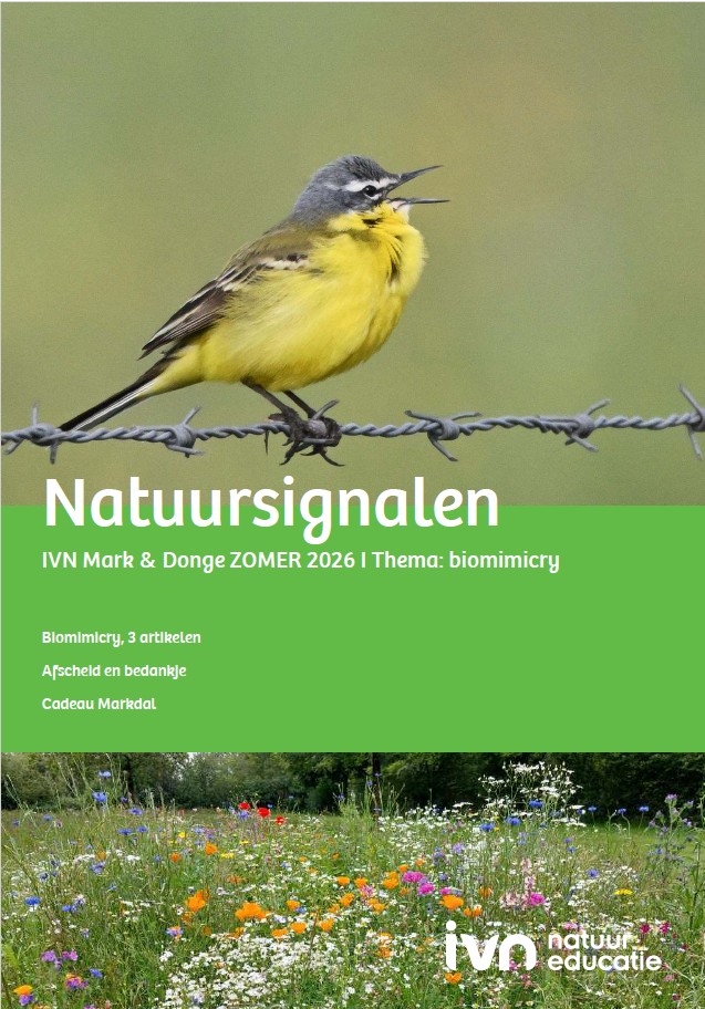 Gele vogel op prikkeldraad, veld met wilde bloemen, tekst "Natuursignalen", thema biomimicry.