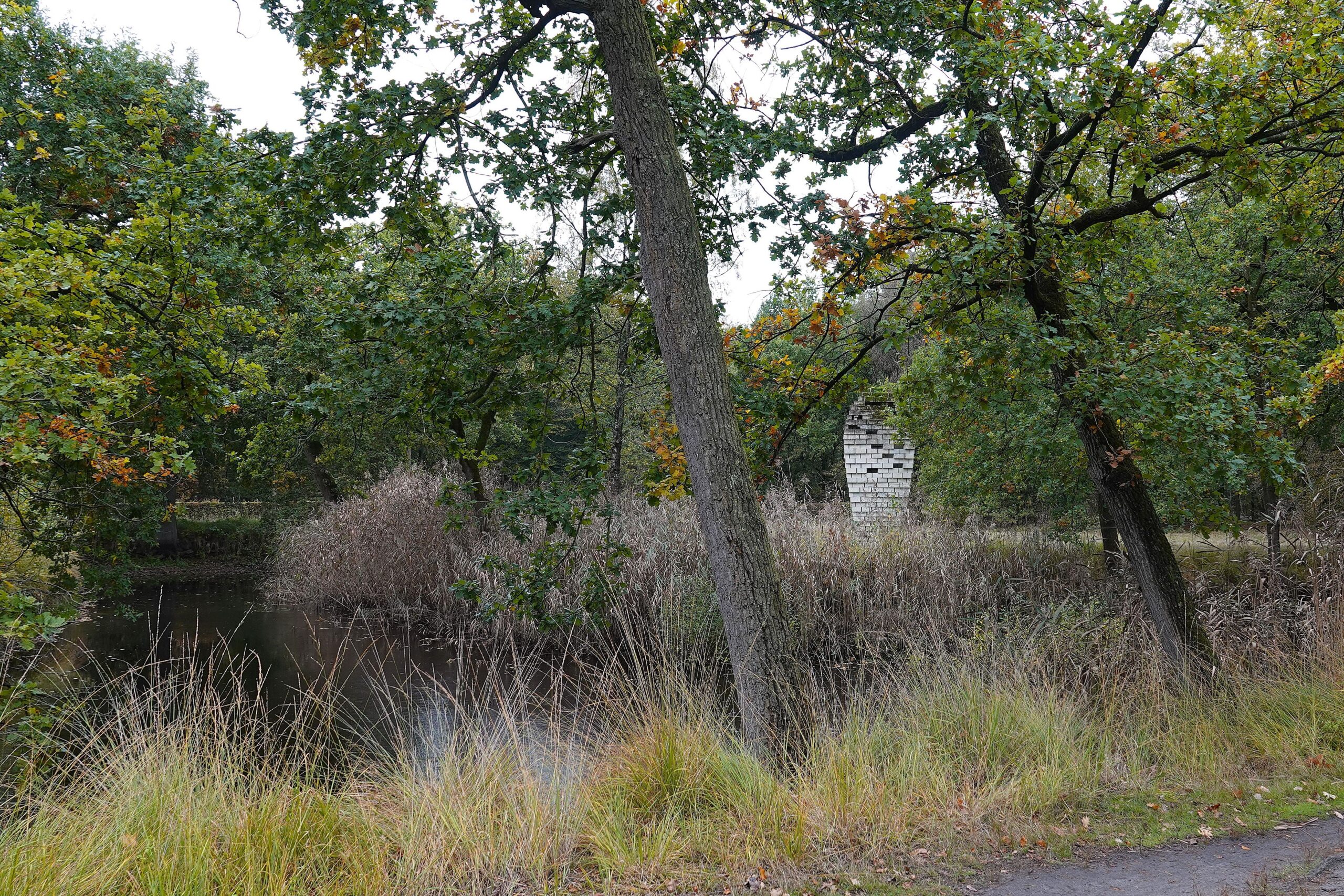 Bosachtig landschap met een vijver en een toren in de achtergrond, omringd door bomen en gras.