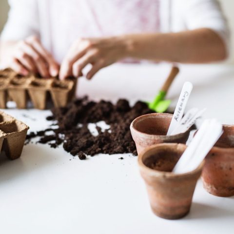 Moestuinieren met behulp van IVN filmpjes