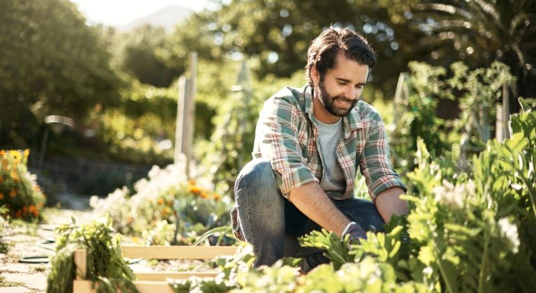 Online moestuincursus