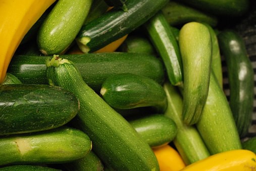 Langdurig courgettes oogsten