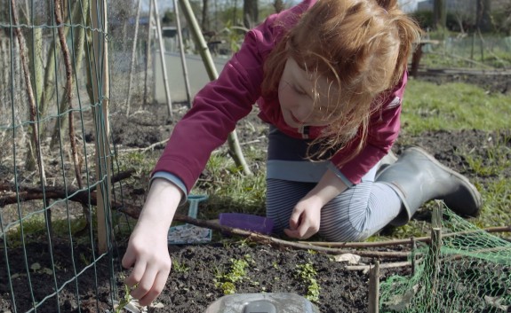 Naar buiten: uitplanten