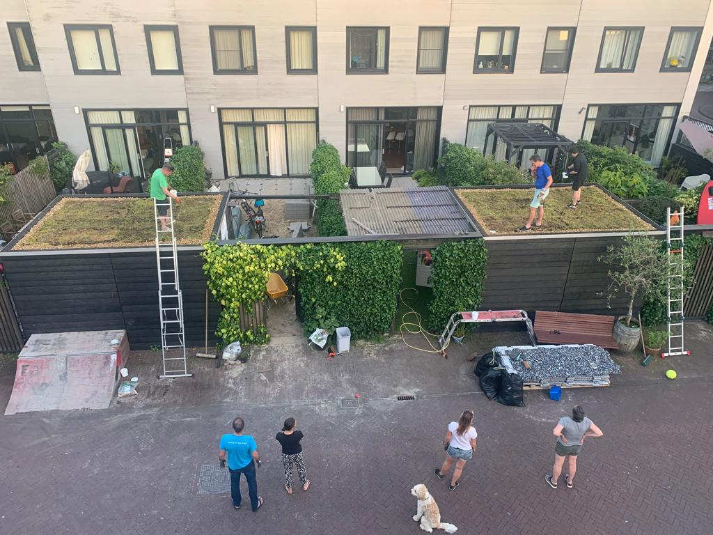 Mensen werken op daken van schuren met groene daken, drie mensen en een hond kijken toe.