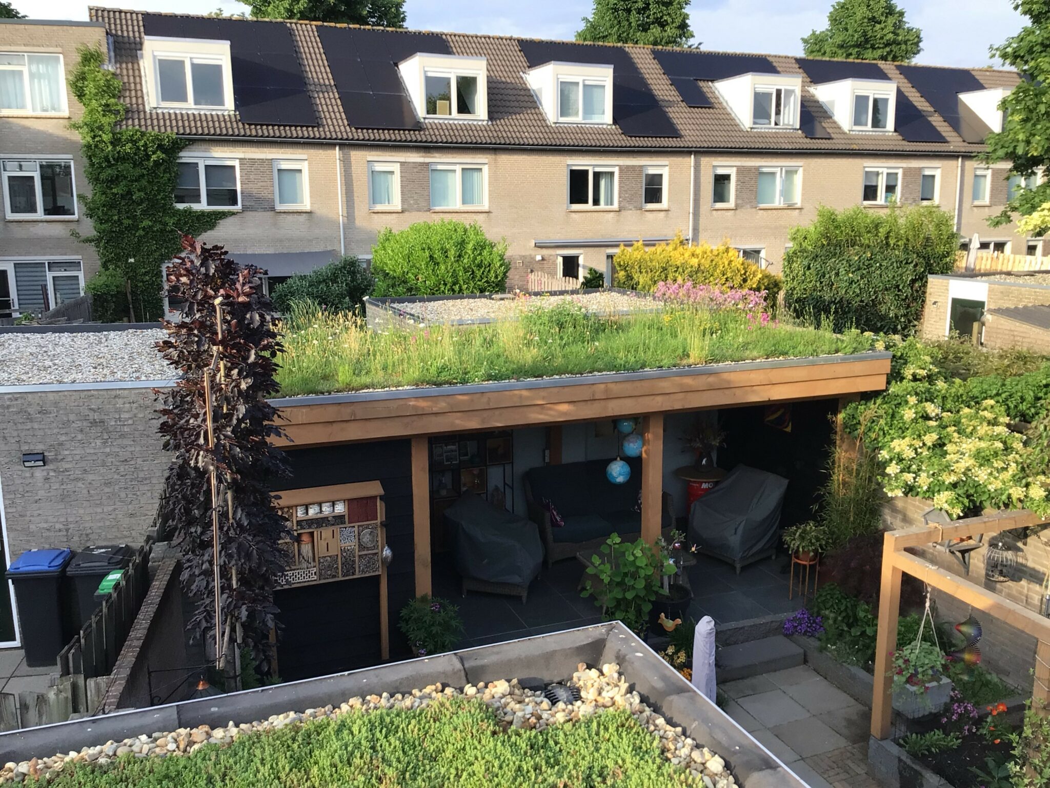 Groendak op een houten tuinhuis, met zitruimte eronder en rijtjeshuizen op de achtergrond.