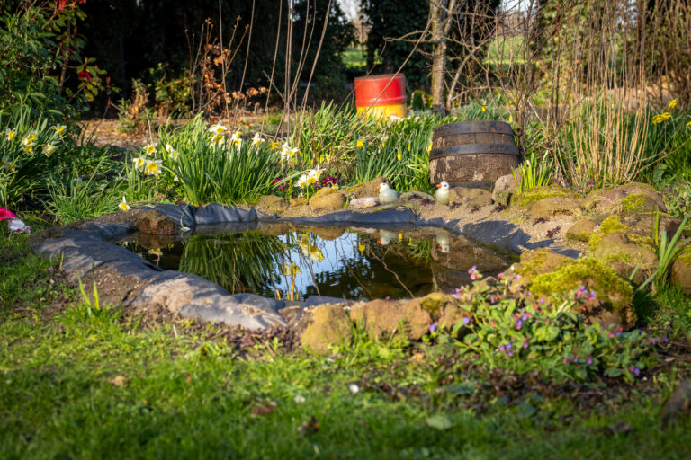 Tuinvijver omgeven door bloemen en een houten vat, met een rode ton op de achtergrond.