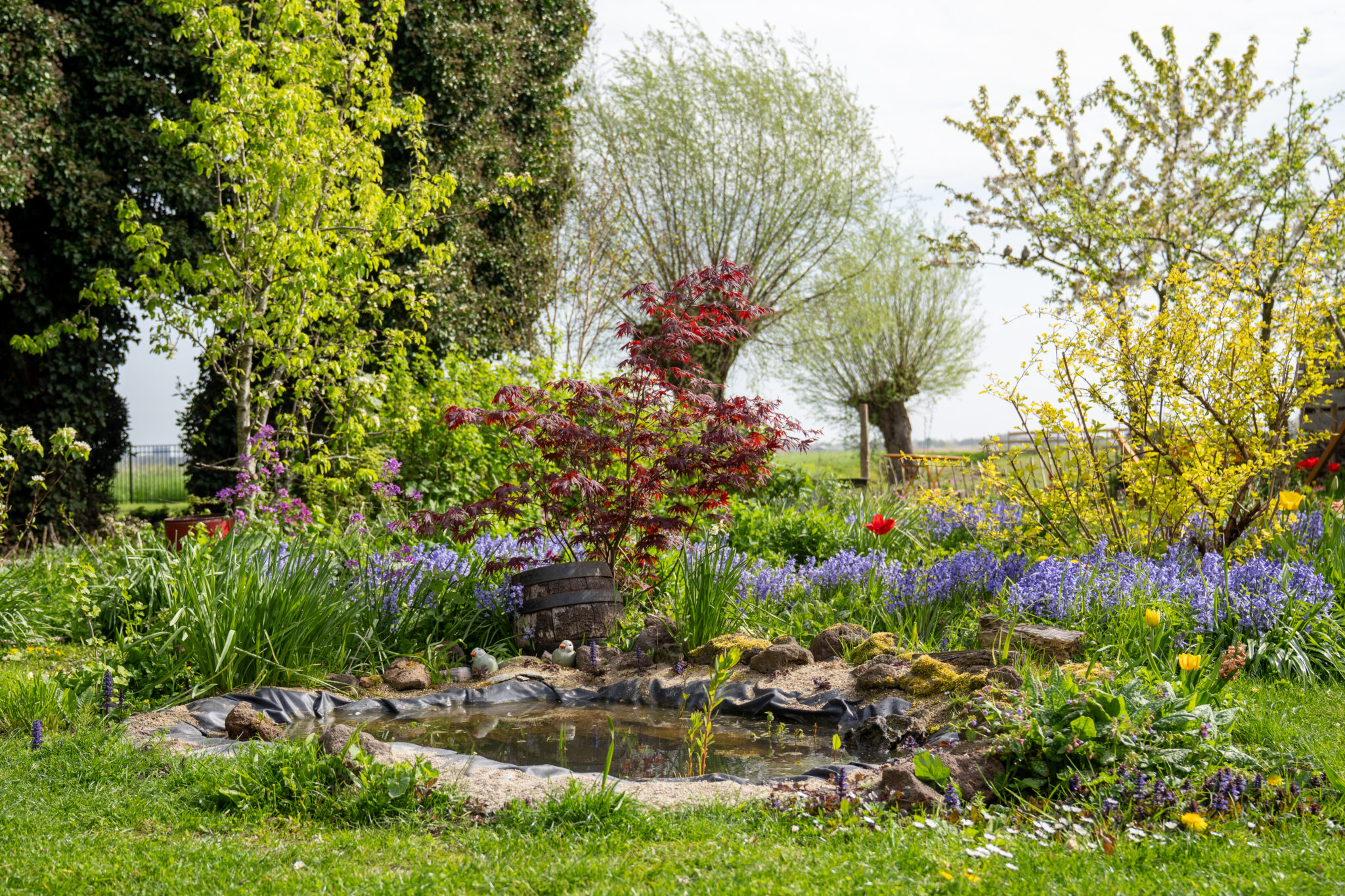 Weelderige tuin met bloemen, vijver, groene bomen en zonneschijn.