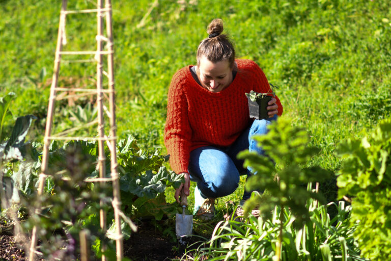 Vrouw in rode trui plant zaailing in groene tuin.