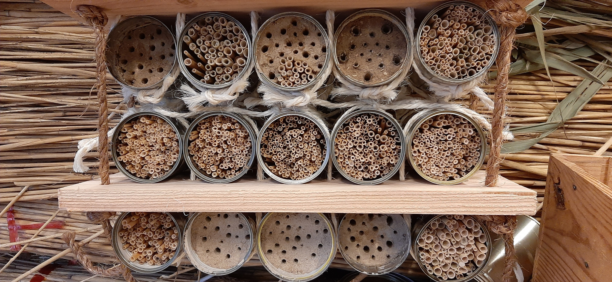 DIY: bouw je eigen bijenhotel
