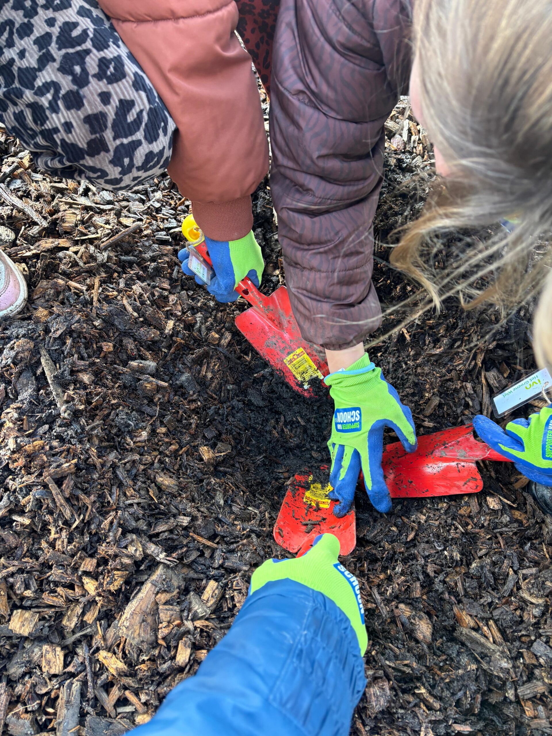 Personen met handschoenen graven in mulch met rode schepjes.