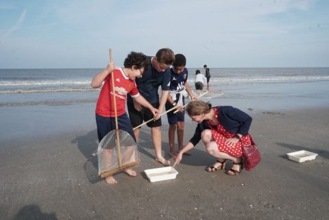 Broodje zeegroenten tijdens het Spettert!