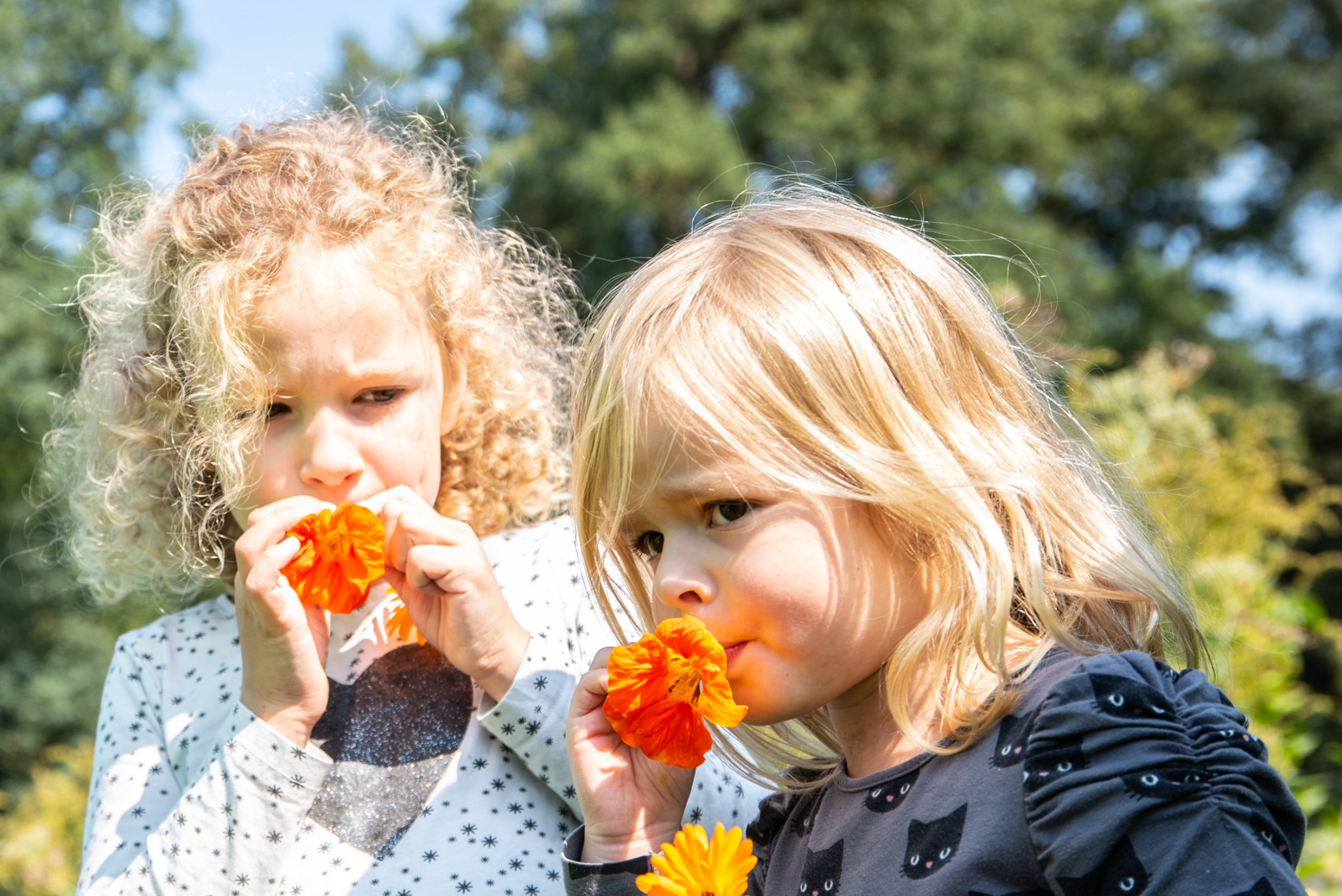 Leerlingen uit Zuid-Holland zetten de bloemetjes buiten